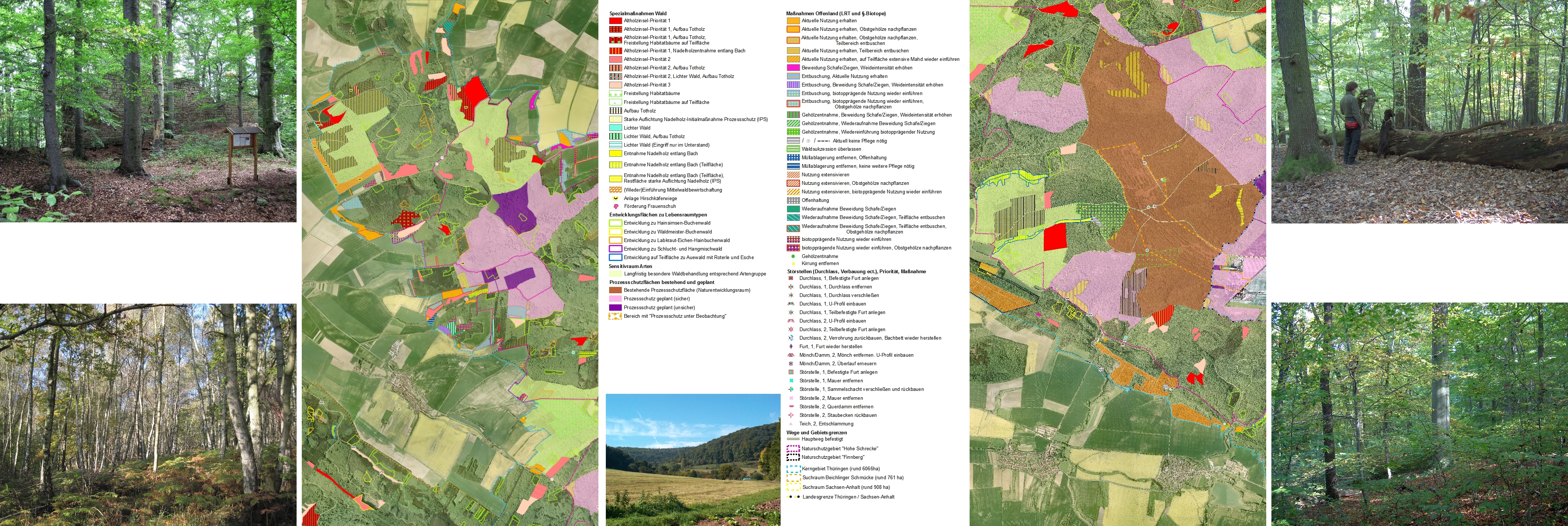 Karte der Maßnahmenvorschläge für Wald- und Offenlandflächen